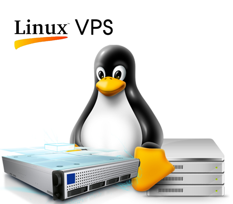 What Is Linux and Why Is It So Popular?